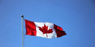 North Country Federal Credit Union Burlington Vermont: Why Choose?