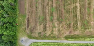 Border Patrol Agent Shot In Vermont: Shocking Details Revealed