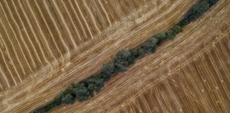 Vermont Parcel Viewer: Unlock Hidden Land Secrets Easily Today