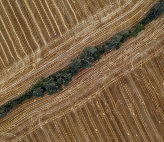 Vermont Parcel Viewer: Unlock Hidden Land Secrets Easily Today Home