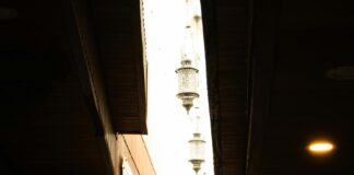 Vance In Vermont: Discover Hidden Gems and Unique Local Experiences