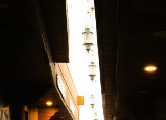 Vance In Vermont: Discover Hidden Gems and Unique Local Experiences