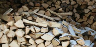 Vermont Castings Wood Stoves: Why Are They The Ultimate Choice?