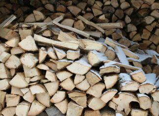 Vermont Castings Wood Stoves: Why Are They The Ultimate Choice?