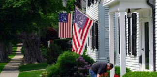 Vermont Oxford Network: Unlocking Powerful Insights for Newborn Care