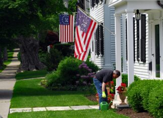 Vermont Oxford Network: Unlocking Powerful Insights for Newborn Care