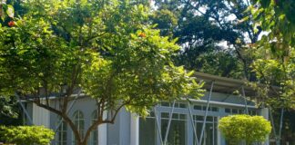 Manchester Vermont: Discover Hidden Gems and Must-See Attractions