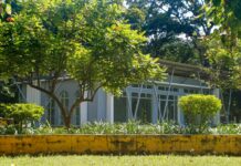 Brattleboro Vermont: Discover Hidden Gems and Must-See Attractions