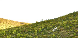 Rabbit Hill Inn Vermont: Discover The Ultimate Cozy Getaway Experience