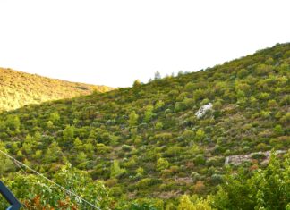 Rabbit Hill Inn Vermont: Discover The Ultimate Cozy Getaway Experience