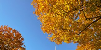 Woodstock Vermont Hotels: Discover The Ultimate Cozy Stay Experience