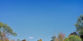 Warren Vermont: Discover Hidden Gems and Adventure Awaits