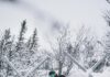 Jd Vance Vermont Ski Trip: Uncover Hidden Gems and Thrills