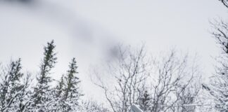 Jd Vance Vermont Ski Trip: Uncover Hidden Gems and Thrills