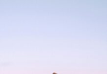 Vermont Mutual Insurance: Discover Why It’s Trusted Nationwide