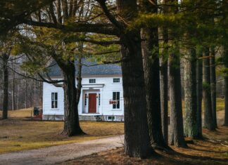 Vermont Country Deli Secrets: Why Locals Can’t Get Enough