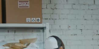 Vermont Department Of Labor: How It Empowers Job Seekers Today