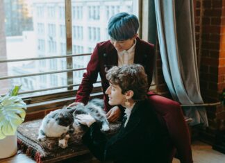 Wilshire Vermont Apartments Los Angeles CA: Discover Your Dream Home