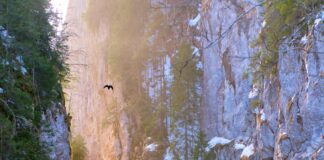 Lake Champlain Vermont: Discover Hidden Gems and Must-See Spots