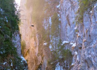 Lake Champlain Vermont: Discover Hidden Gems and Must-See Spots