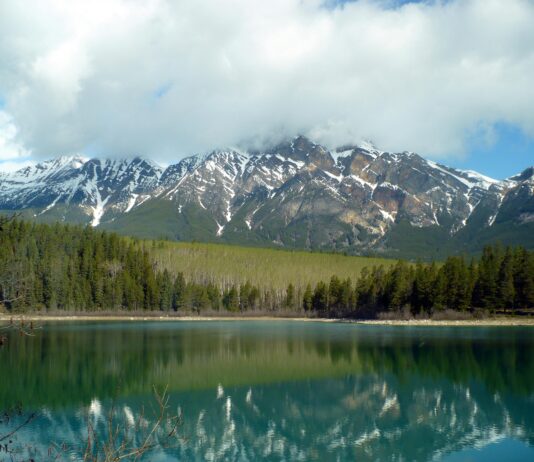 Dorset Vermont: Discover Hidden Gems and Unforgettable Adventures