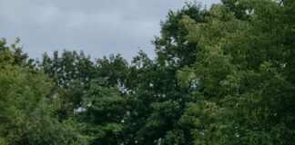 Vermont Camping Areas: Discover Hidden Gems for Ultimate Outdoor Fun