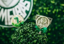 Vermont Green FC: Discover The Exciting Future Of Soccer Excellence