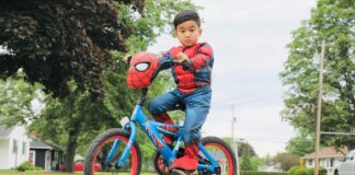 Essex Vermont Secrets: Discover Hidden Gems and Local Wonders