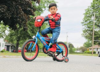 Essex Vermont Secrets: Discover Hidden Gems and Local Wonders