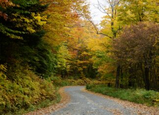 Fall In Vermont: Discover Stunning Autumn Colors and Hidden Gems