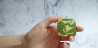 Vermont Square Secrets: Discover What Makes It So Unique Today