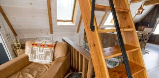 Seed Sheet Vermont: Discover The Ultimate Guide To Easy Gardening