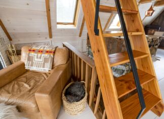 Seed Sheet Vermont: Discover The Ultimate Guide To Easy Gardening