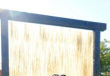 Shelburne Vermont USA: Discover Hidden Gems and Local Secrets