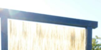 Shelburne Vermont USA: Discover Hidden Gems and Local Secrets