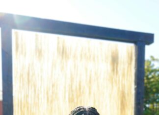 Shelburne Vermont USA: Discover Hidden Gems and Local Secrets