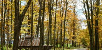 Vermont Road Closures: Essential Updates You Need To Know Today