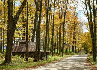 Vermont Road Closures: Essential Updates You Need To Know Today