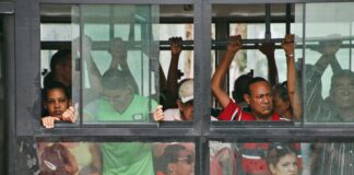 Central Vermont Humane Society: How Can You Make a Lasting Impact?