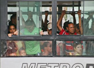 Central Vermont Humane Society: How Can You Make a Lasting Impact?