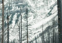 Vermont State Parks Camping: Discover Hidden Gems for Adventure