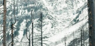 Vermont State Parks Camping: Discover Hidden Gems for Adventure