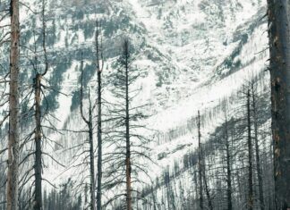 Vermont State Parks Camping: Discover Hidden Gems for Adventure