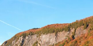 Vermont Juniper Hill: Discover The Hidden Natural Beauty Today