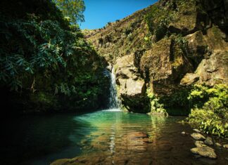 Vermont Waterfalls: Discover Stunning Hidden Gems and Scenic Trails