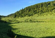 Juniper Hill Vermont: Discover Hidden Gems and Scenic Wonders