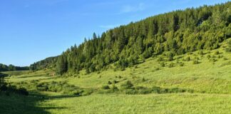 Juniper Hill Vermont: Discover Hidden Gems and Scenic Wonders