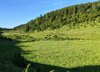 Juniper Hill Vermont: Discover Hidden Gems and Scenic Wonders