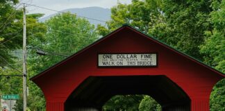 Vermont Street Secrets: Why This Iconic Spot Captivates Visitors