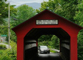 Vermont Street Secrets: Why This Iconic Spot Captivates Visitors